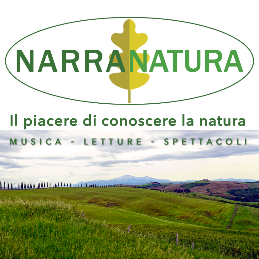 Locandina Narranatura